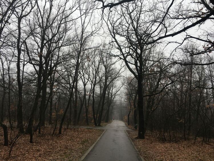 Облачно в събота, превалявания на места