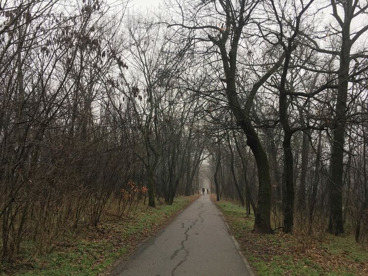 Дъжд и сняг, мартенски виелици