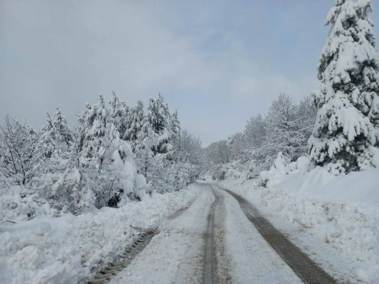 Снежната покривка във високите планински райони на община Асеновград е 10-20 см.