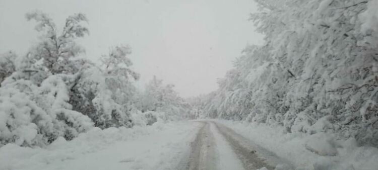 Снежната покривка във високите планински райони на община Асеновград е 10-20 см.