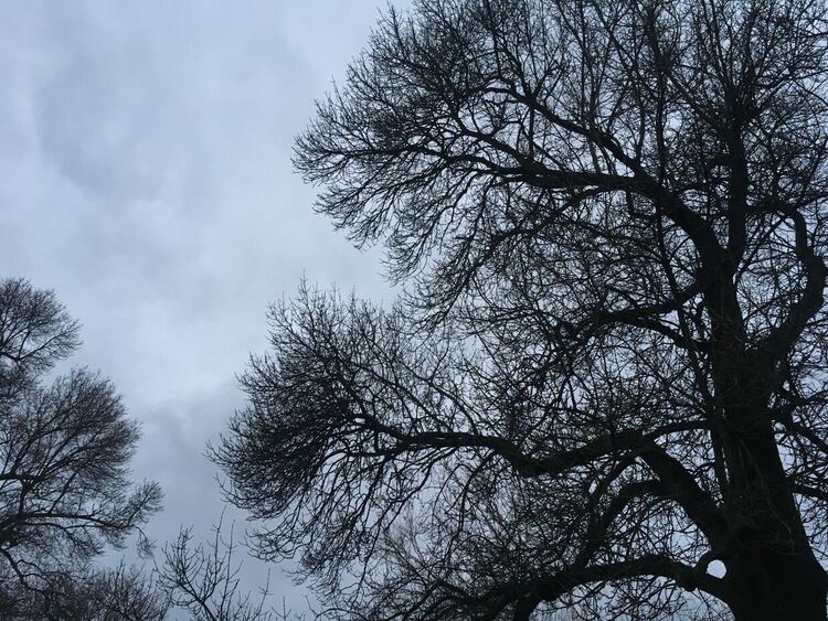 Облачно и студено, валежи на места