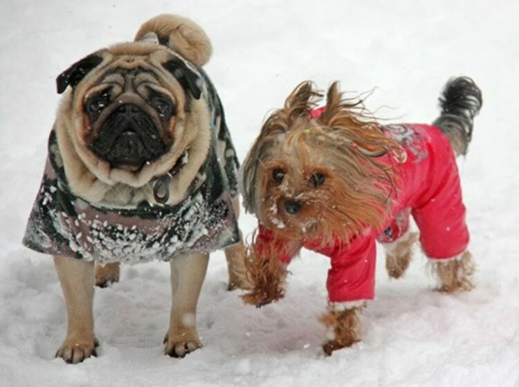 Мартенската зима продължава