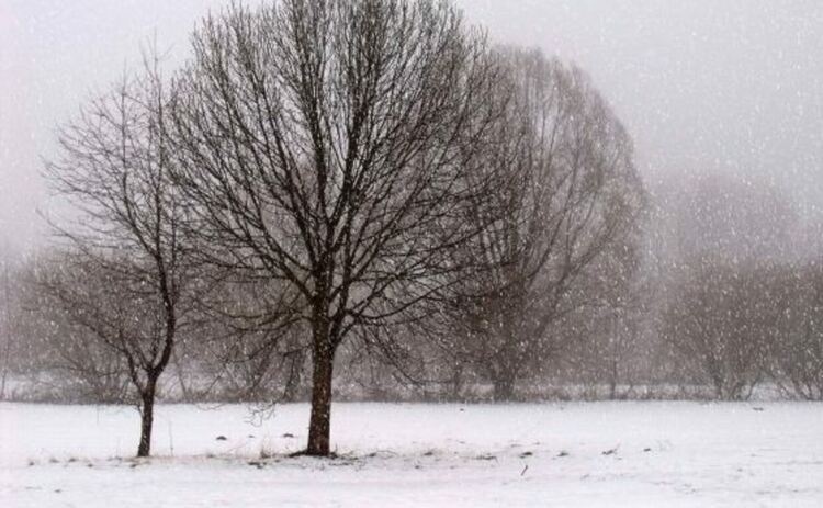 Застудяването продължава