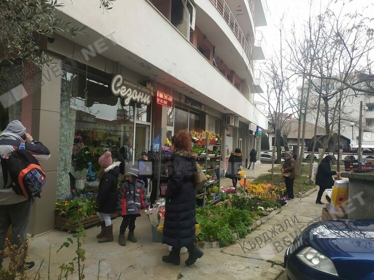 Хит за 8-март в Кърджали са цветята в саксии, цената им за последните месеци е скочила два пъти