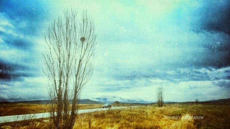 „В търсене на изгубеното време“