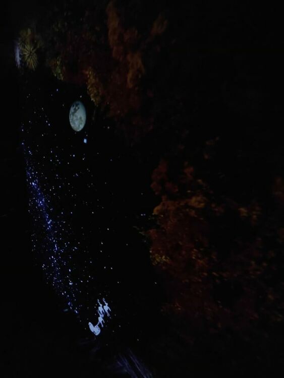 Откриха планетариума в Градската библиотека 