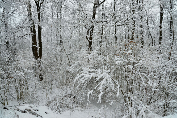 Облачно и студено, слаби превалявания