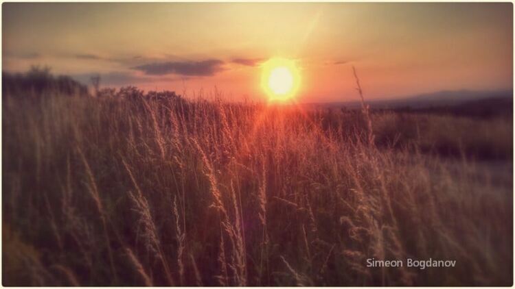 „В търсене на изгубеното време“