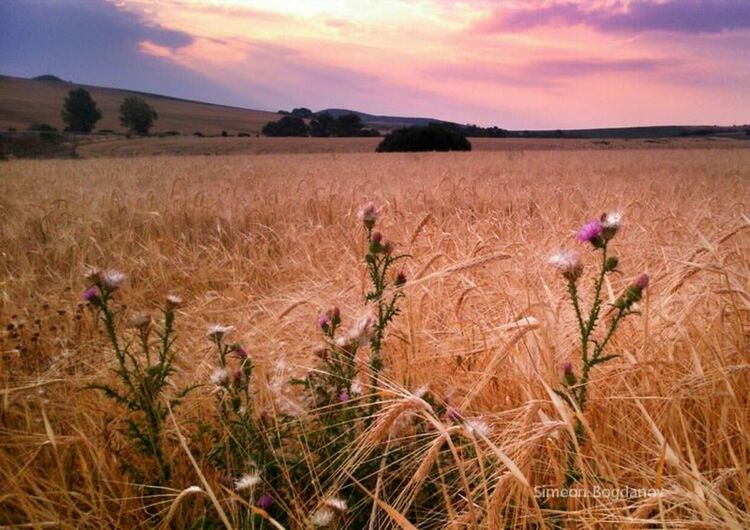 „В търсене на изгубеното време“