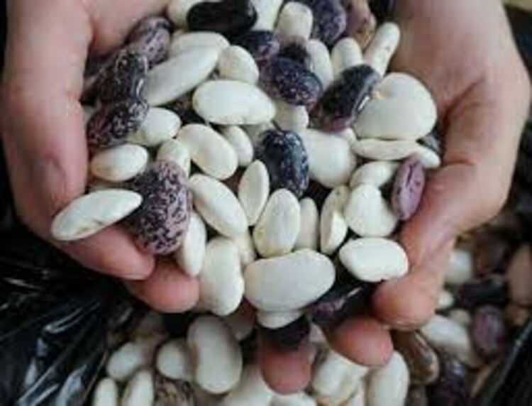 Тръгва базар "Произведено в Родопите". Ще купуваме стоки директно от производители