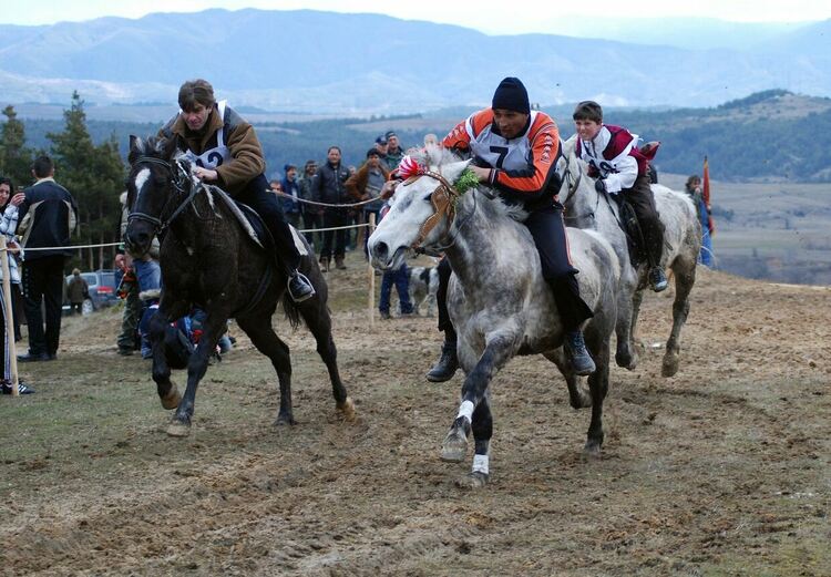 Кон прегази жена на кушиите в пернишкото село Дивотино