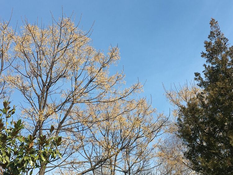 Слънчево и топло до 14 градуса