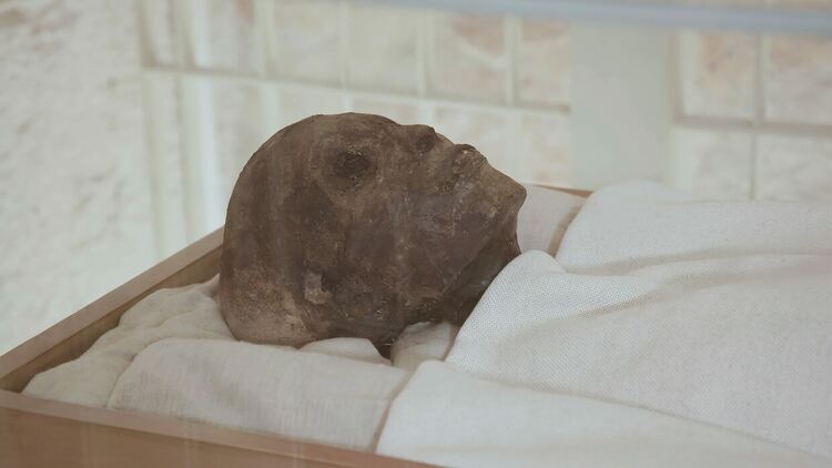 Проклятието на фараона