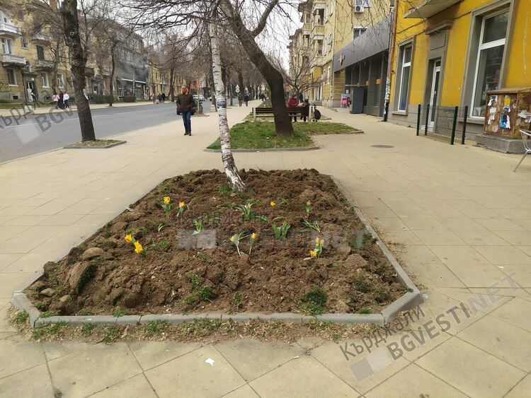 В очакване на фирмата на общинския съветник да засее цветя в градинките, кърджалийци проявяват самоинициатива