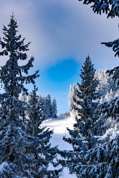 Промоцени на лифт картите в Пампорово до края на сезона - 10 април