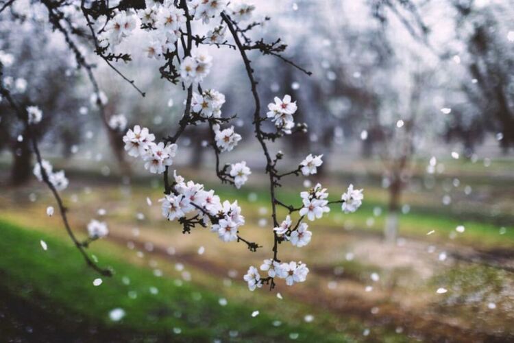 Жълт код за силен вятър за региона на Хасково