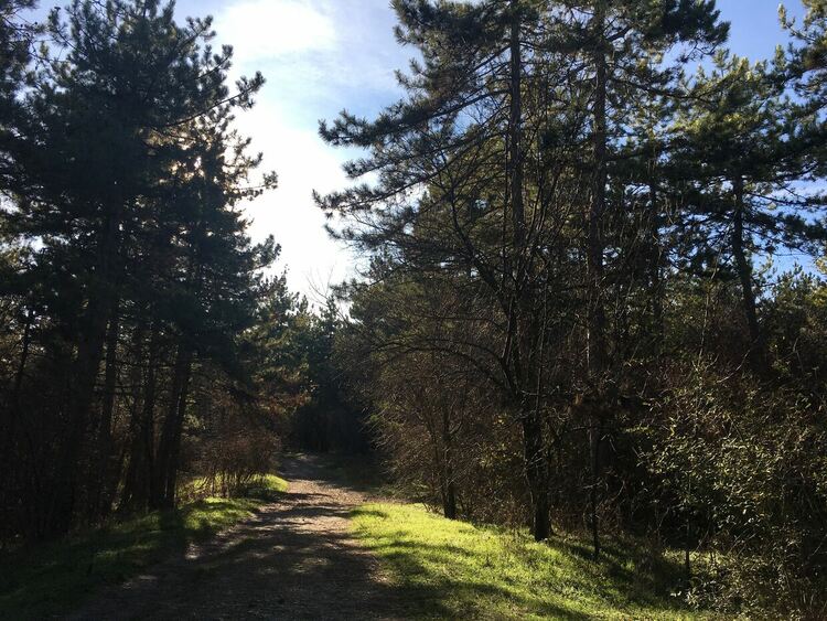 Слънчево утро, заоблачаване следобед