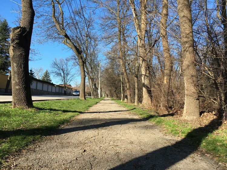 Започва затопляне, слънцето се показва