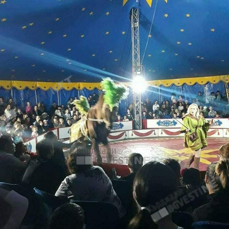 Цирк „Арлекино” отново в Кърджали, ще радва децата на града