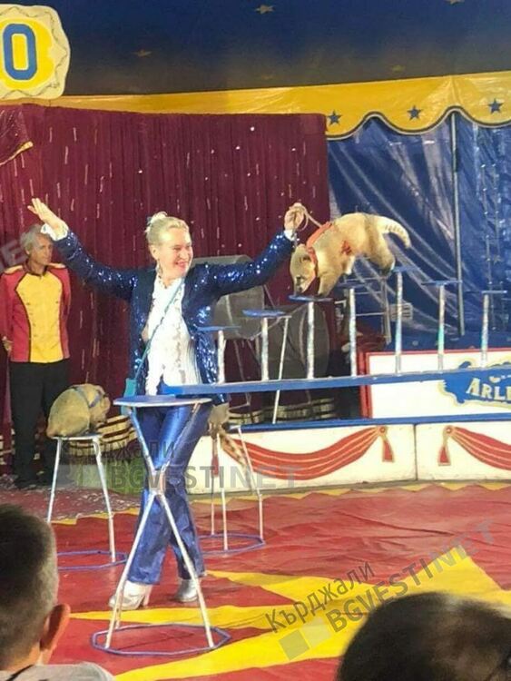 Цирк „Арлекино” отново в Кърджали, ще радва децата на града