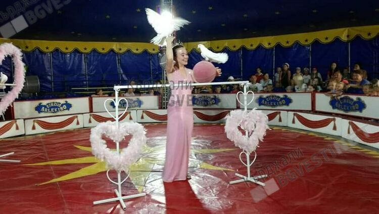 Цирк „Арлекино” отново в Кърджали, ще радва децата на града