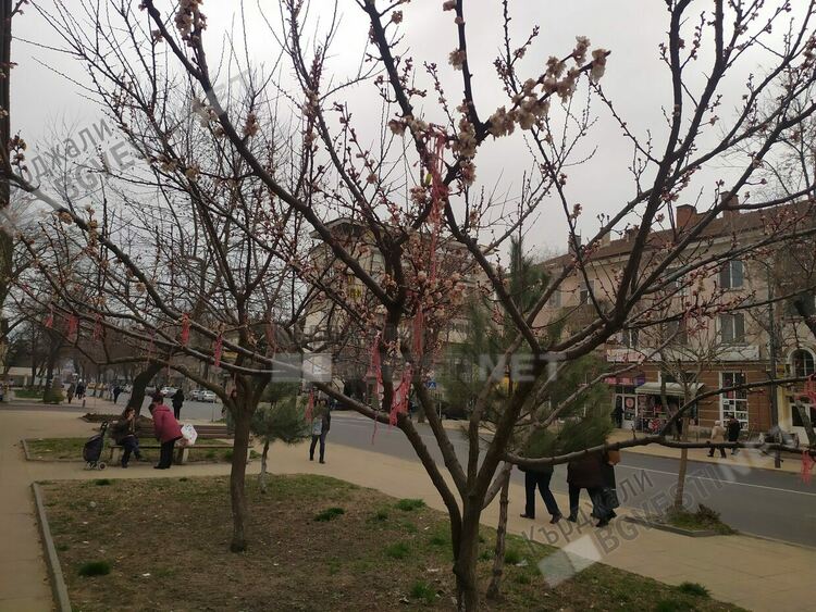 Слънчево и топло днес в Кърджали