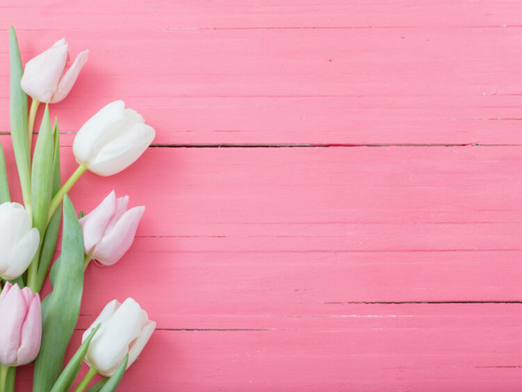 Празнуваме Благовещение!  