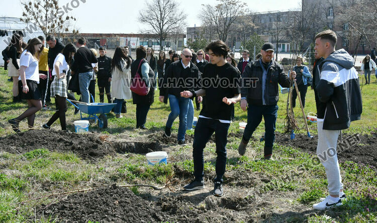 Младежи от пет държави засадиха плодни дръвчета в Хасково на Благовещение