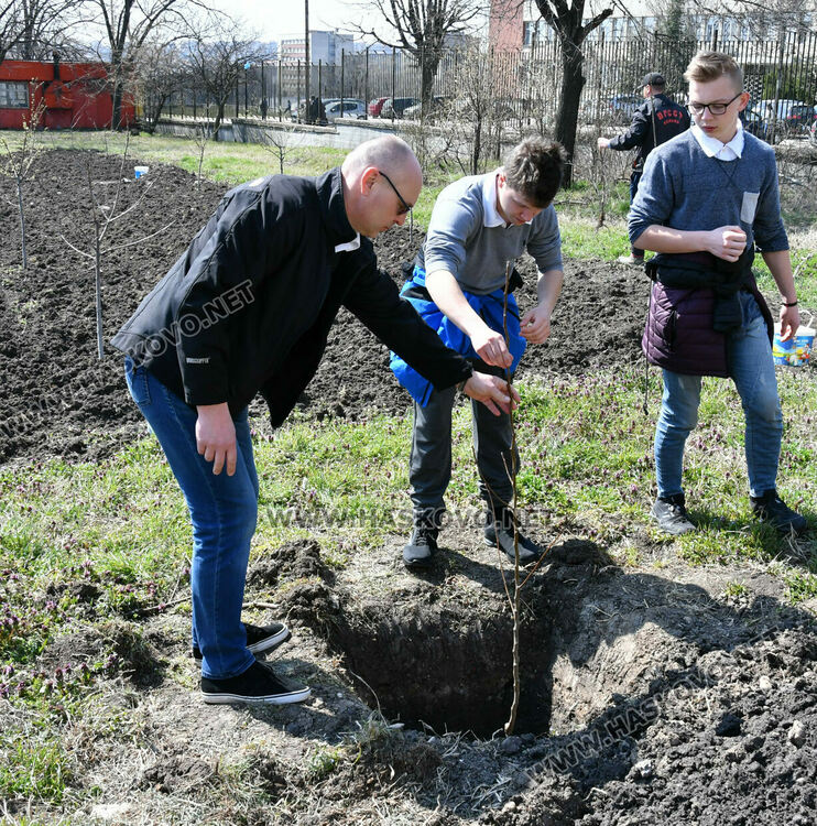 Младежи от пет държави засадиха плодни дръвчета в Хасково на Благовещение