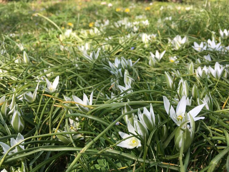 Пролетни температури и слънчице в събота