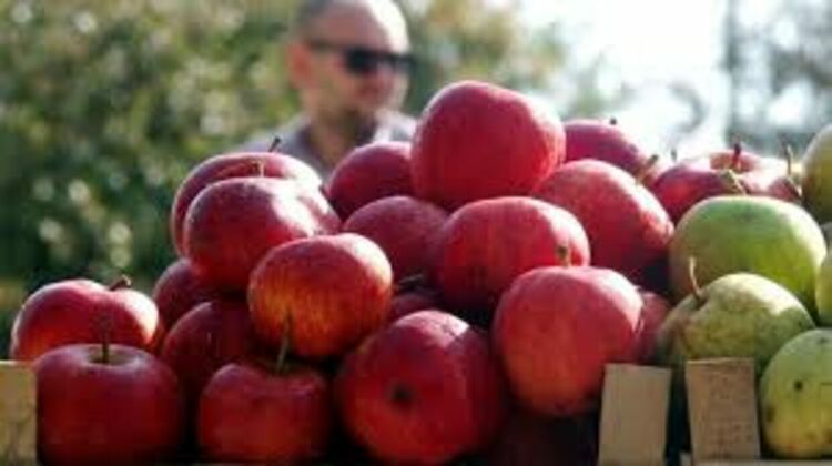 Голямо изложение на земеделски продукти в Анталия,канят вносители от Кърджали