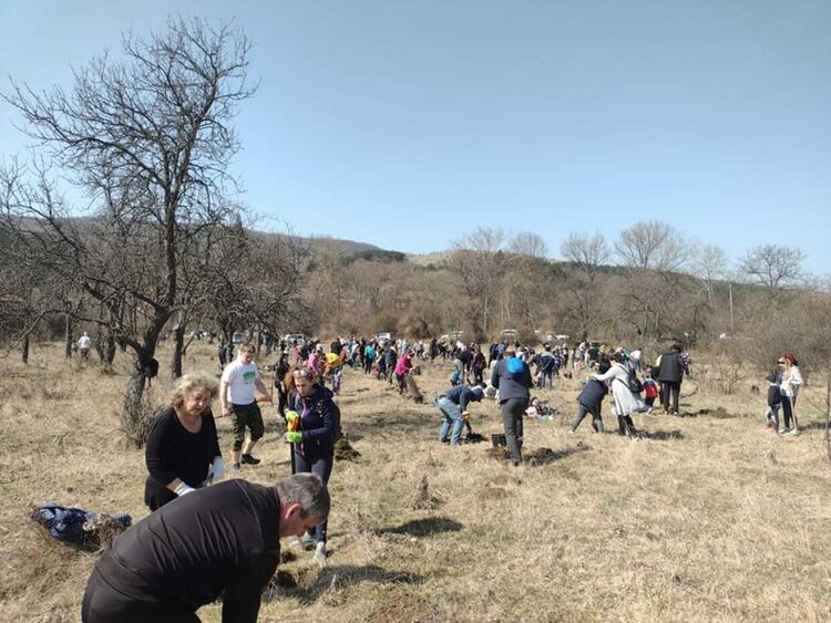1000 овощни дръвчета засадиха жители и гости на село Студена