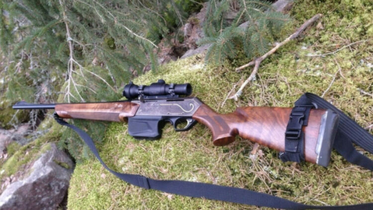 Откриха труп на прострелян елен в реката край с.Соколовци