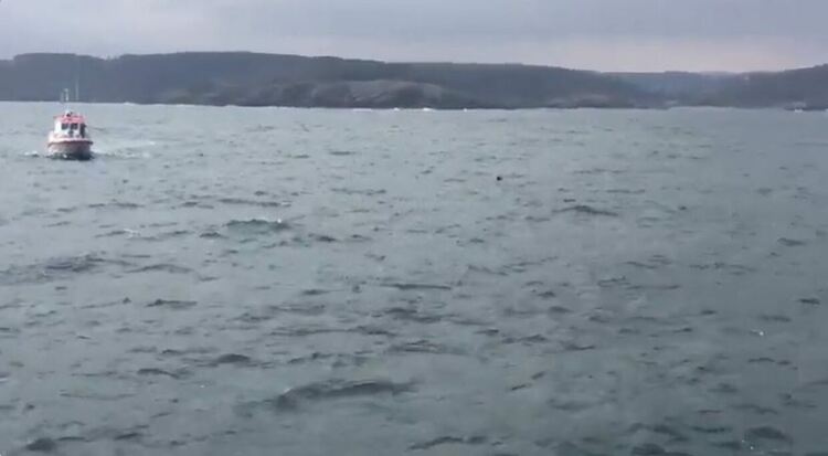 Турция днес съобщи за друга мина близо до българската граница