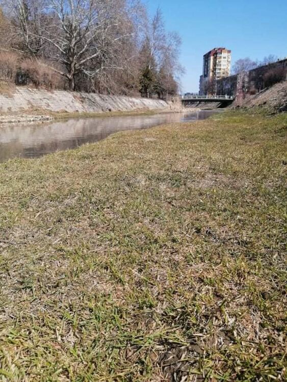 Инициатива за почистване в градския парк