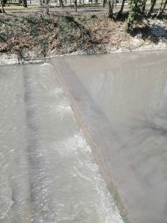 Инициатива за почистване в градския парк