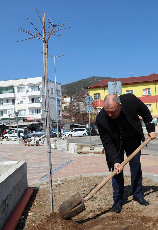 Кметът инж. Изет Шабан засади шестил в центъра на Ардино