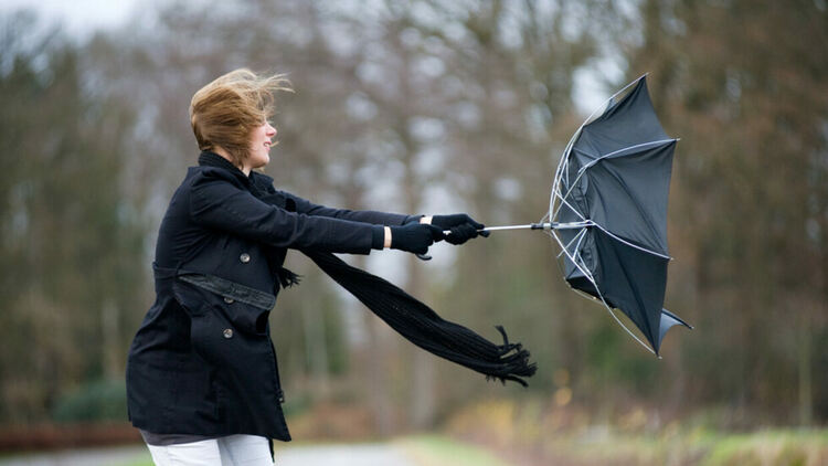 Жълт код за силен и временно бурен южен вятър в Хасковско