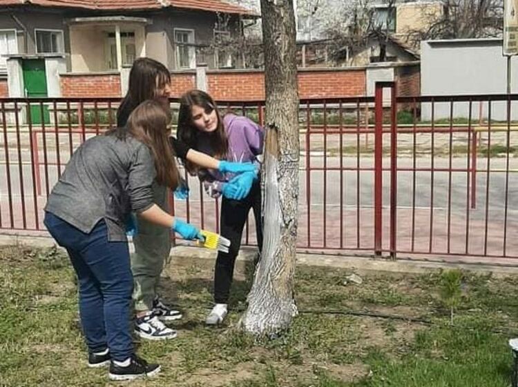 Ученици боядисаха всички дръвчета в двора на "Златаров"