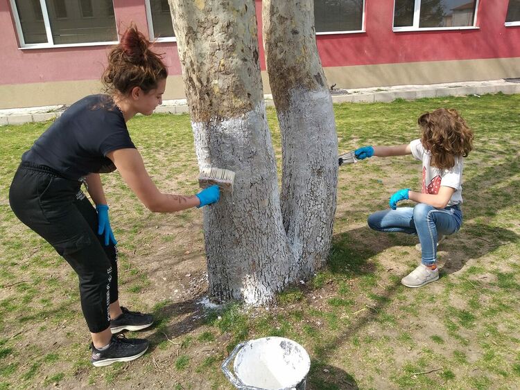Ученици боядисаха всички дръвчета в двора на "Златаров"