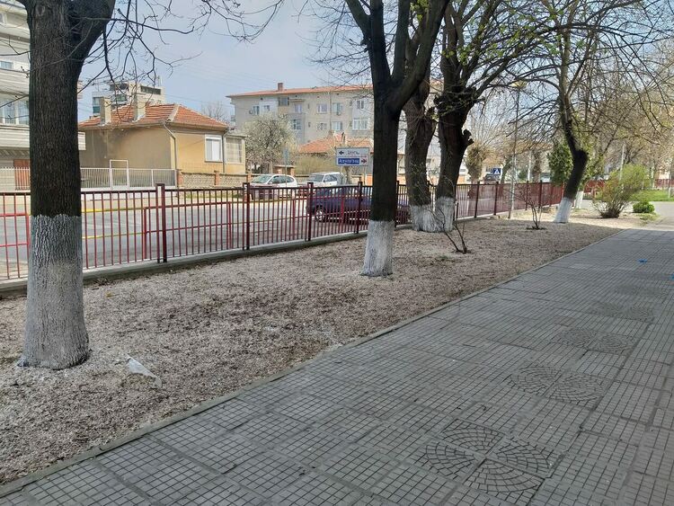 Ученици боядисаха всички дръвчета в двора на "Златаров"