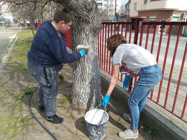 Ученици боядисаха всички дръвчета в двора на "Златаров"