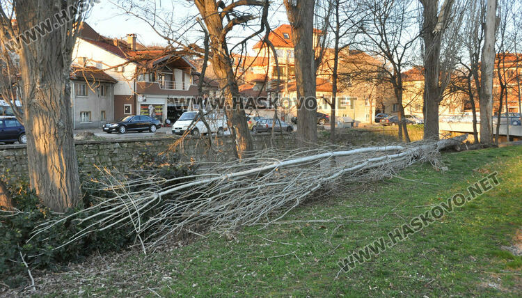 Жълт код за силен вятър в събота