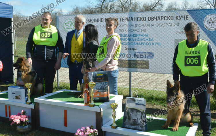 Показаха 100 германски овчарски кучета в специализирана изложба