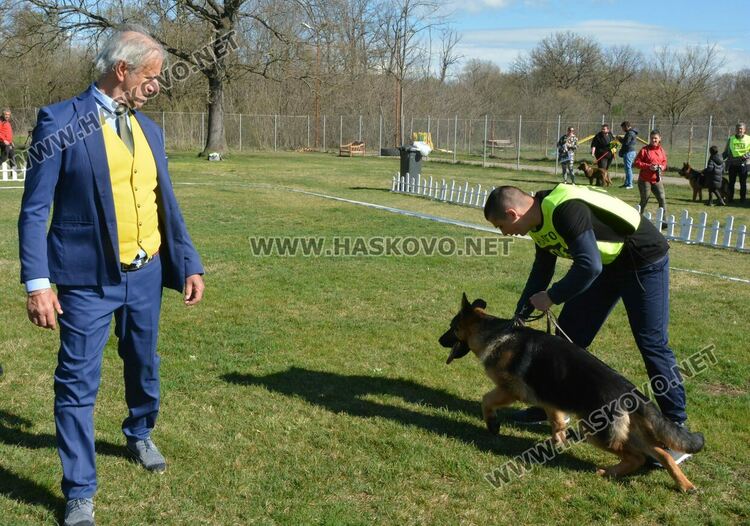 Показаха 100 германски овчарски кучета в специализирана изложба