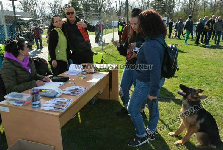 Показаха 100 германски овчарски кучета в специализирана изложба