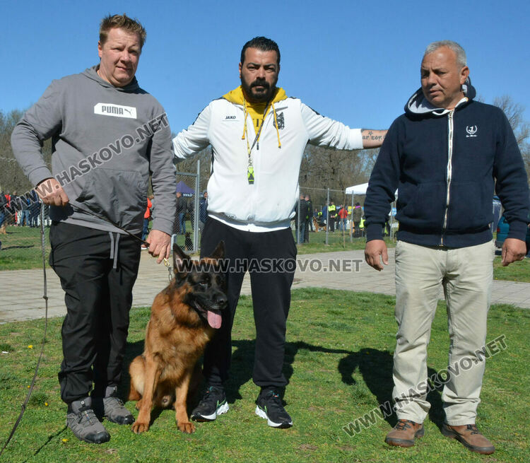 Показаха 100 германски овчарски кучета в специализирана изложба