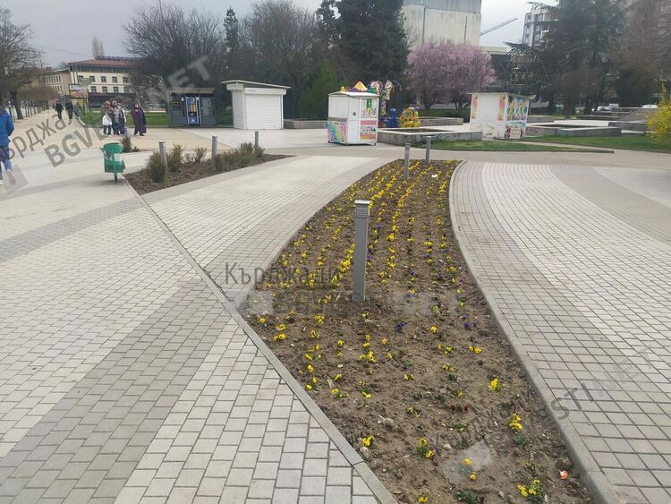 Бурен дебат за пролетната цветна украса на Кърджали в социалните мрежи,ОБЧ отчита успешна кампания