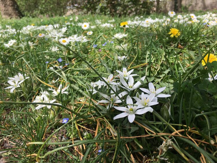 Дъждовно, ветровито и по-студено