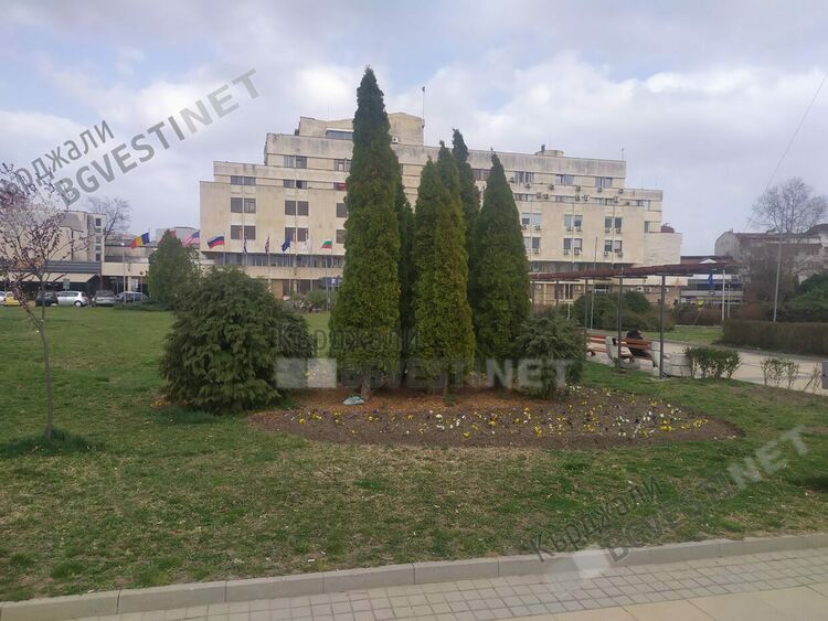 Бурен дебат за пролетната цветна украса на Кърджали в социалните мрежи,ОБЧ отчита успешна кампания